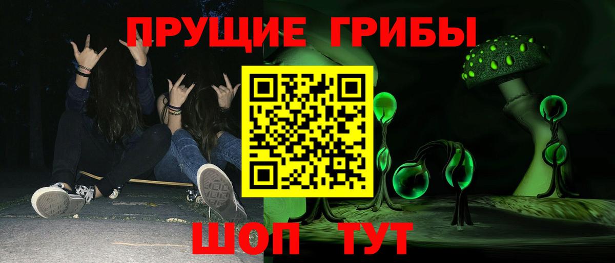 Псилоцибиновые грибы Psilocybe Избербаш